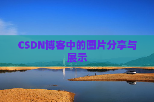 CSDN博客中的图片分享与展示